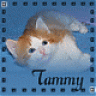 Tammy80