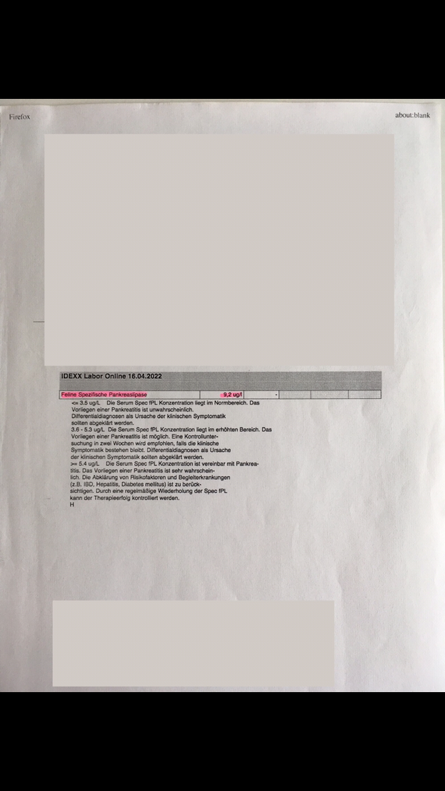 00F8ADE8-DEAF-4B56-A73A-E70FB8EA63E9.png