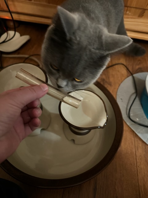 0D2A27BD-24F9-421F-B2EF-021FA3F72FEA.jpeg