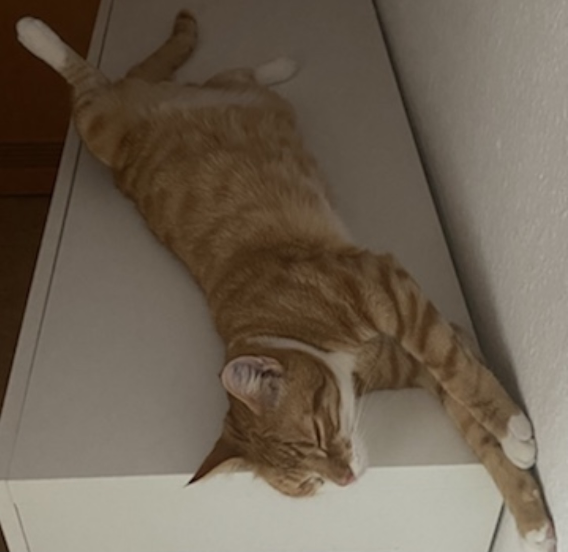 0ECB9054-5B99-4738-B22C-756B6FD8CE73.jpeg