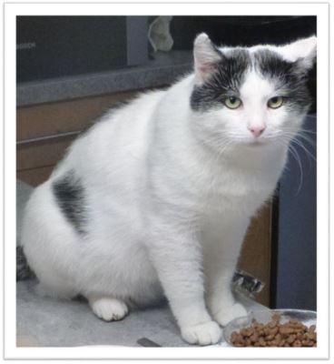1. Bommel (002).JPG