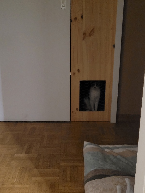 1000071160.jpg