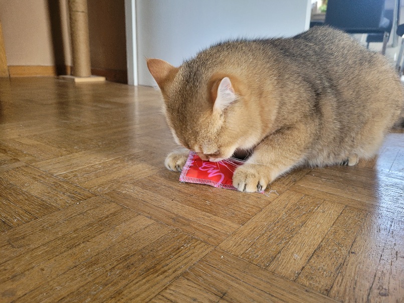 1000076504.jpg