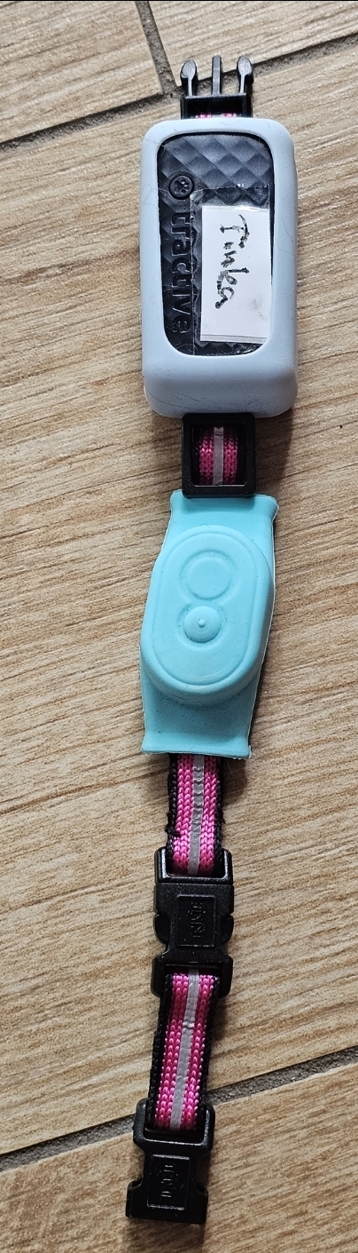 1000085107.jpg