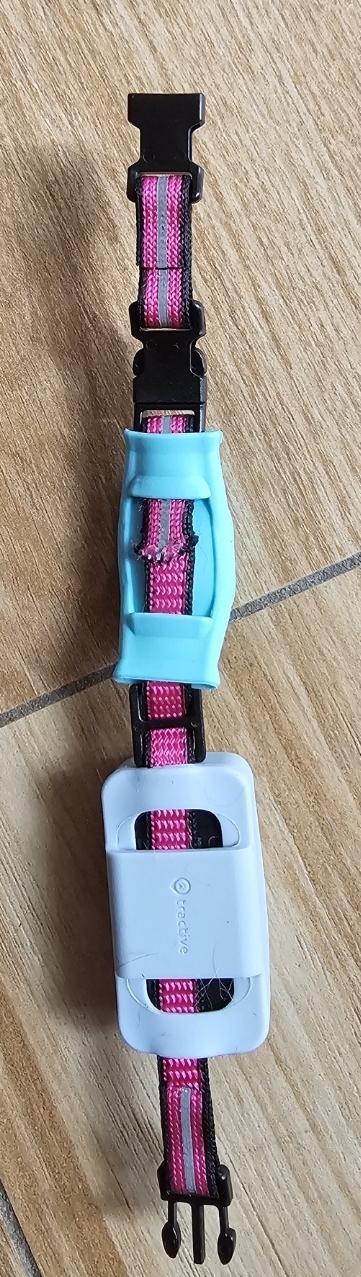 1000085109.jpg