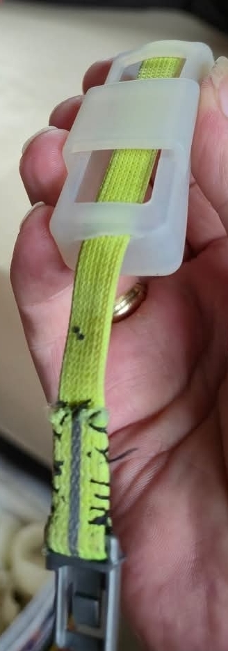 1000085726.jpg