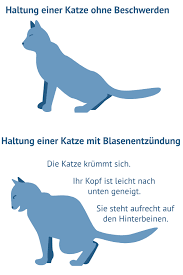 1745498203344.png
