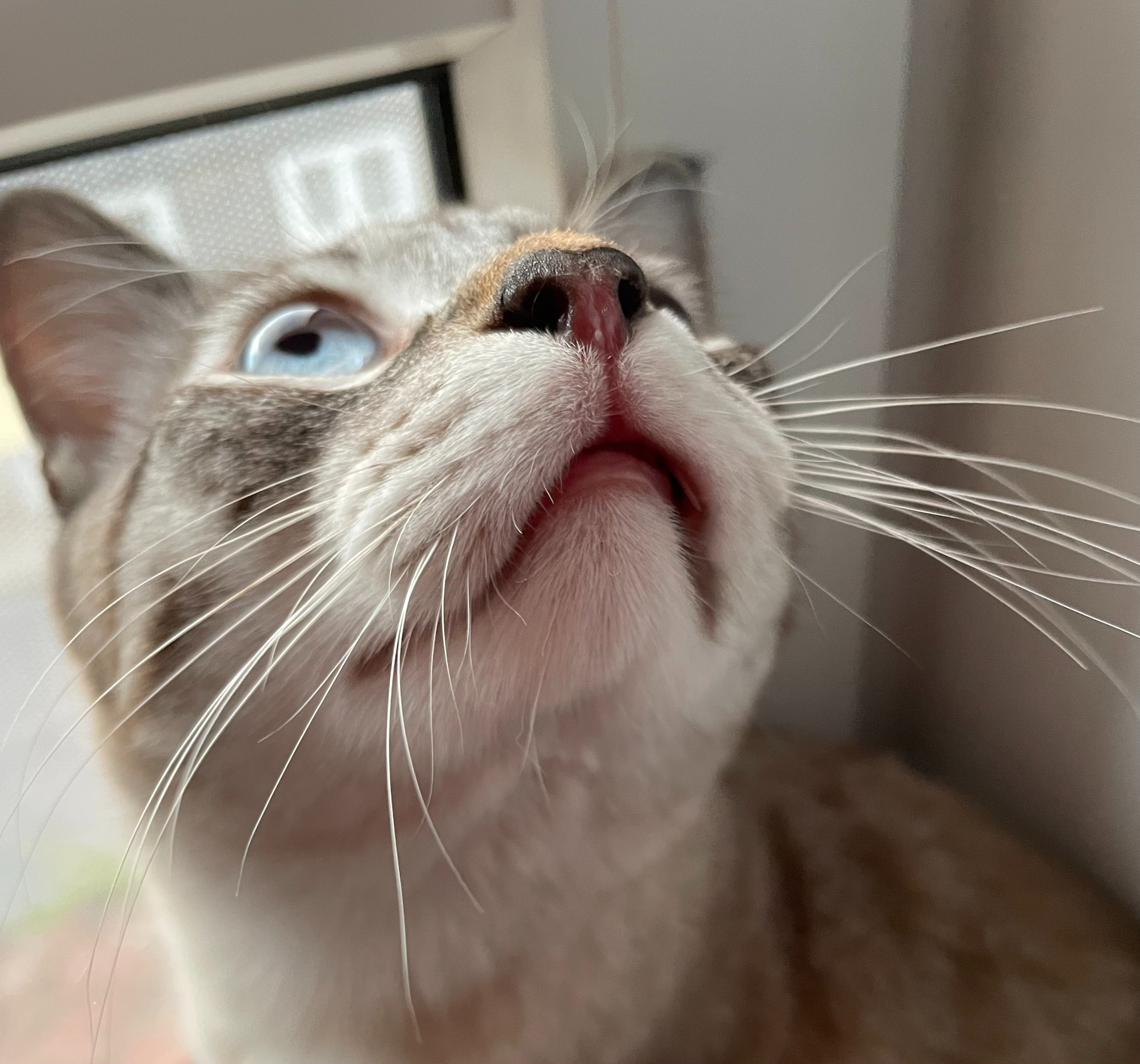 1B2604C6-F727-4442-B6C2-2386B49963D3.jpeg