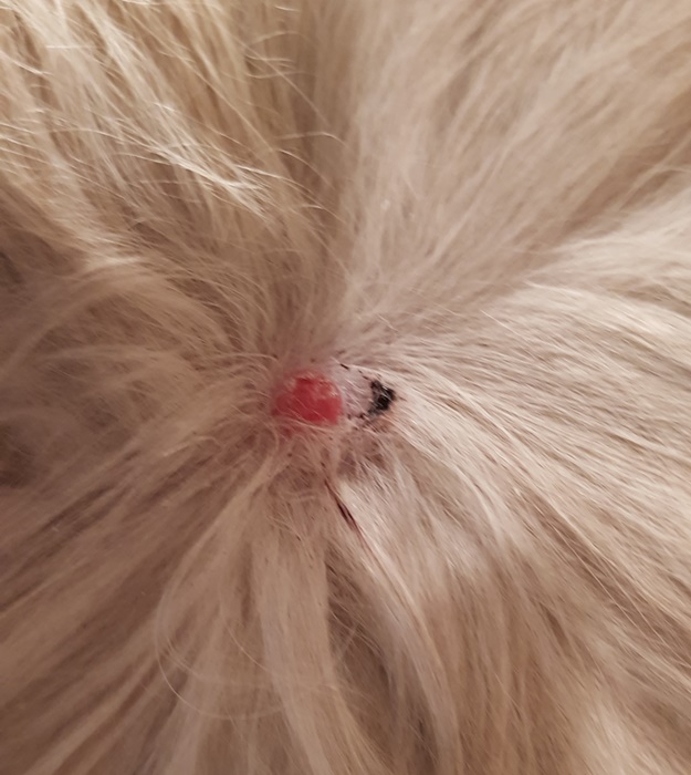20180224_160550.jpg