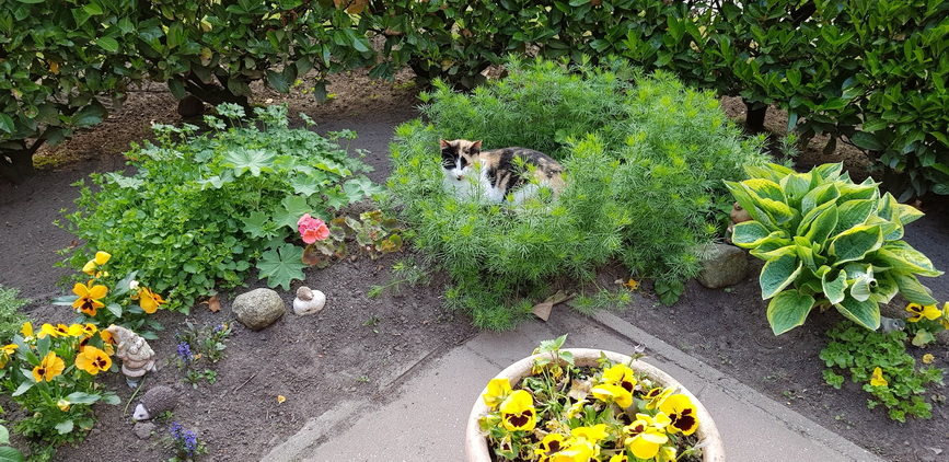 20180512_193228.jpg