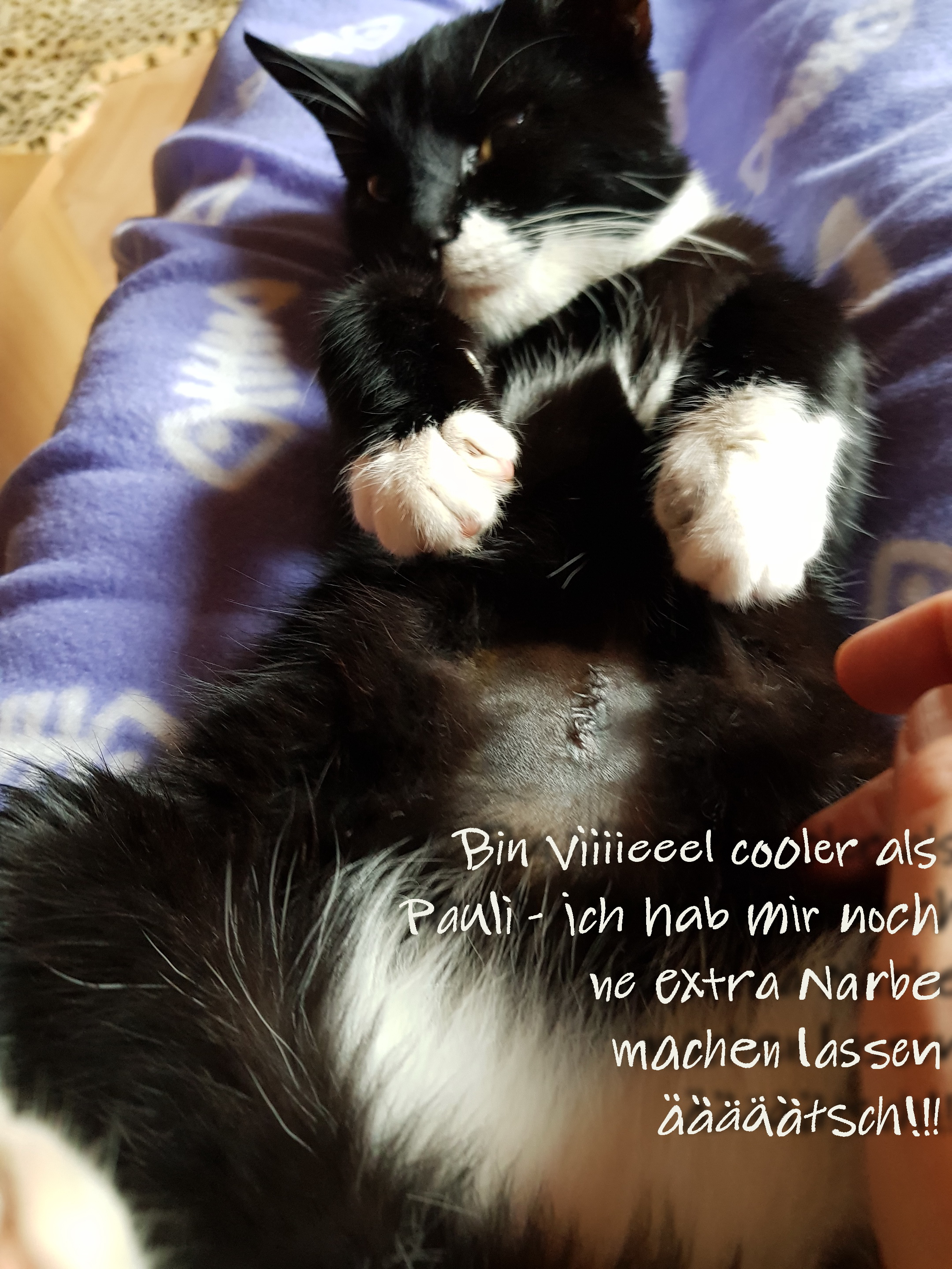 20191023_170006b.jpg