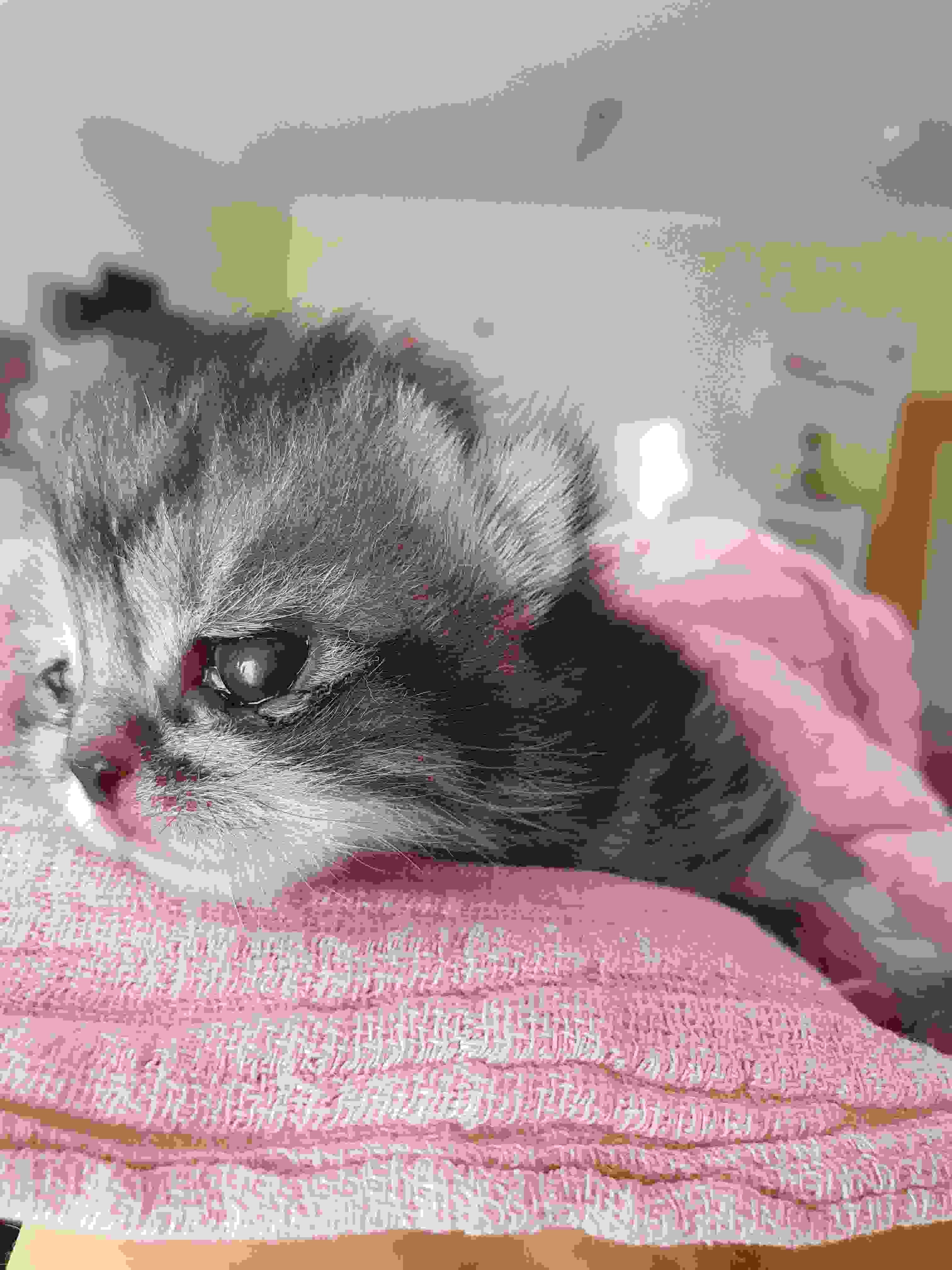 20200706_071445_compress28.jpg