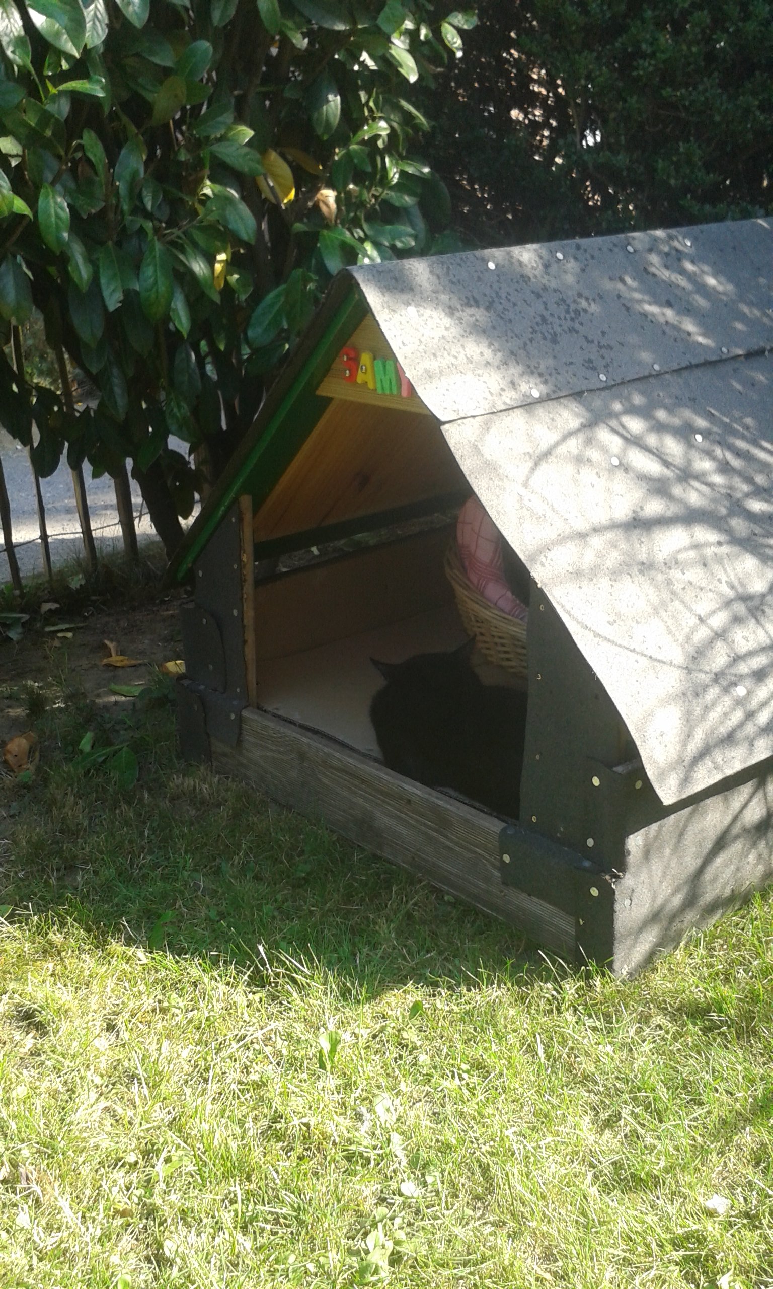 20200915_152517.jpg