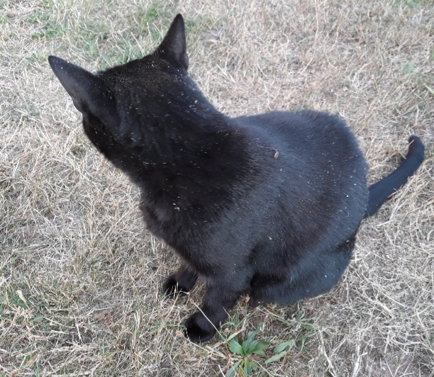 20200915_201741.jpg