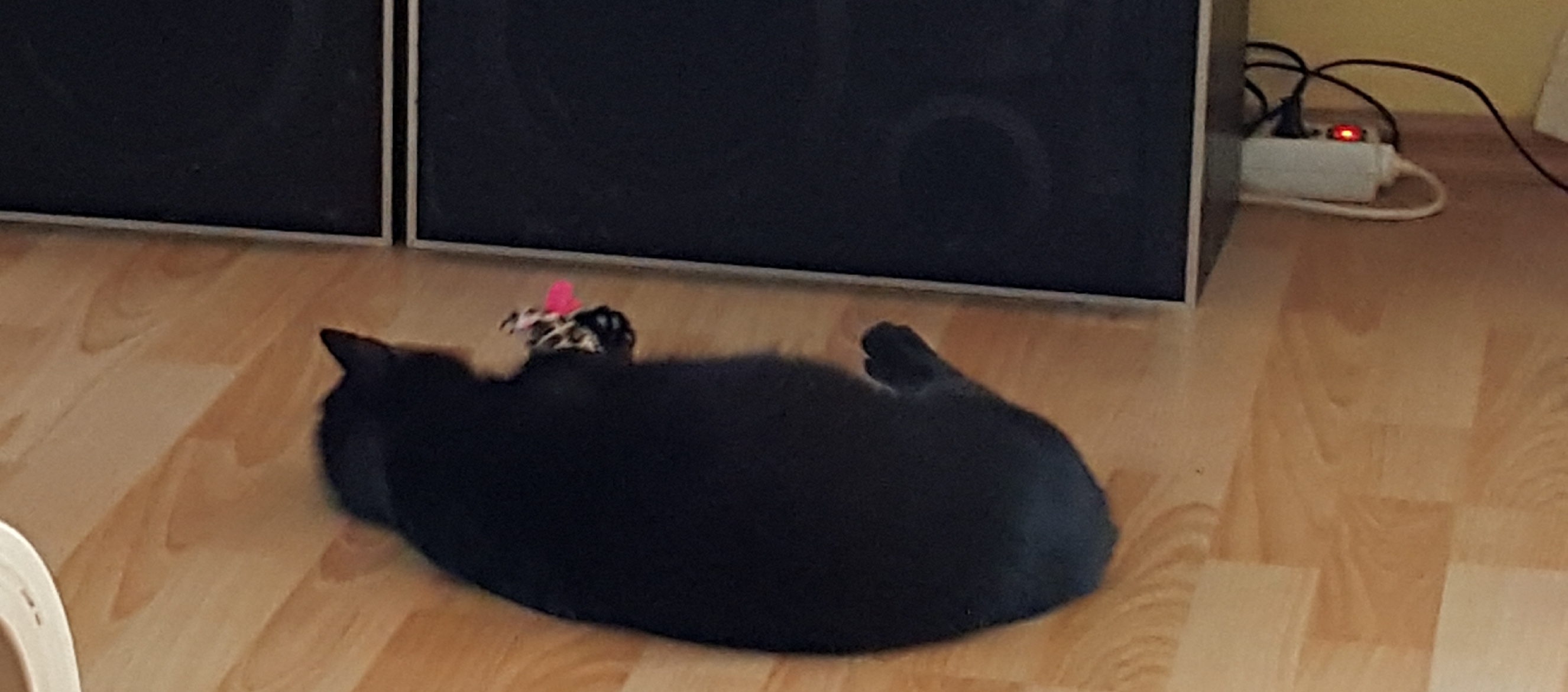 20200916_192403.jpg