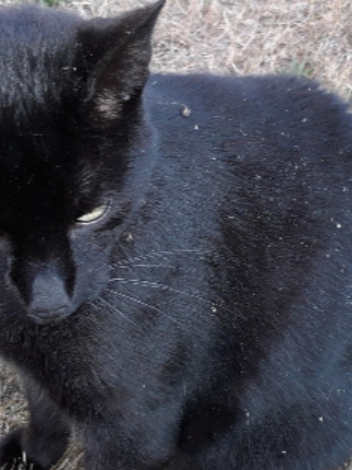 20200916_214558.jpg