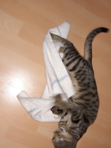 20200929_200343.jpg