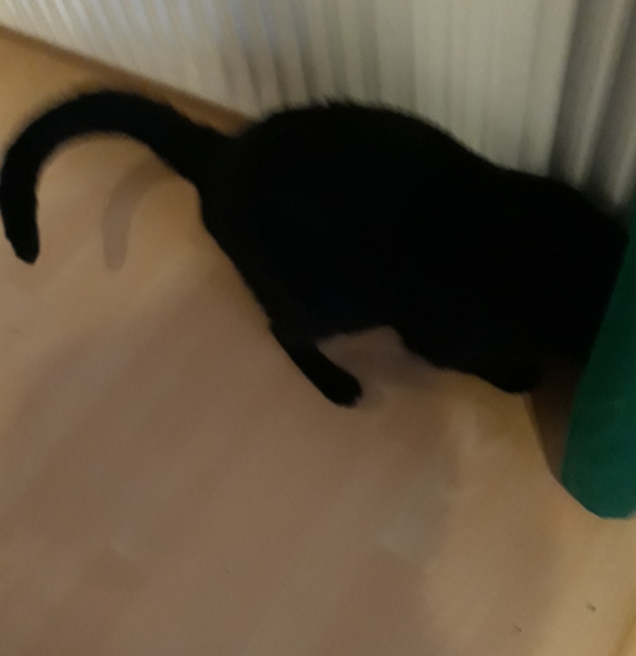 20201001_095715.jpg