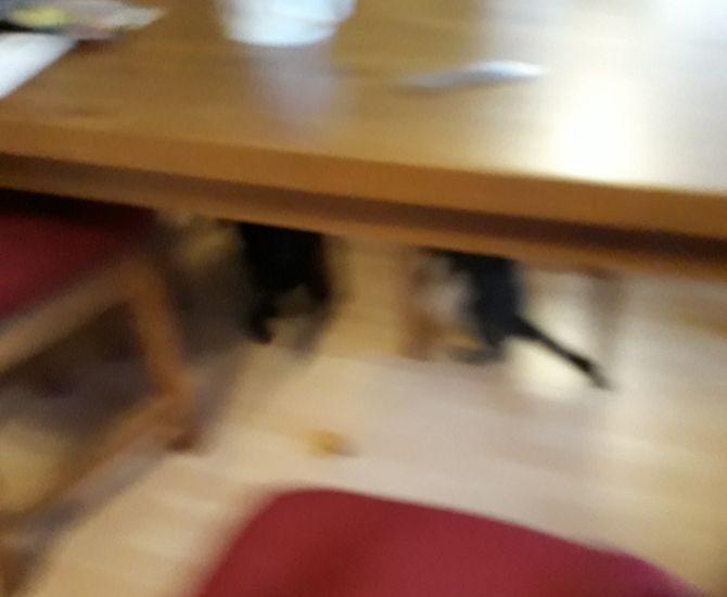 20201001_095726.jpg