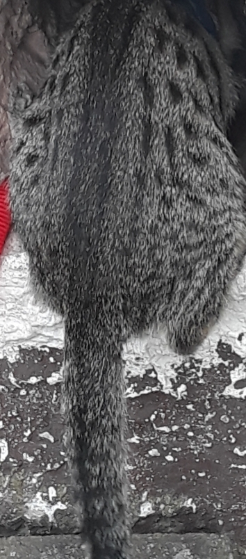 20201001_194741.jpg