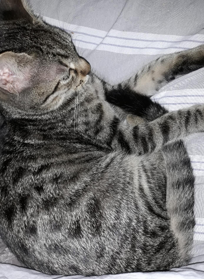 20201001_194755.jpg