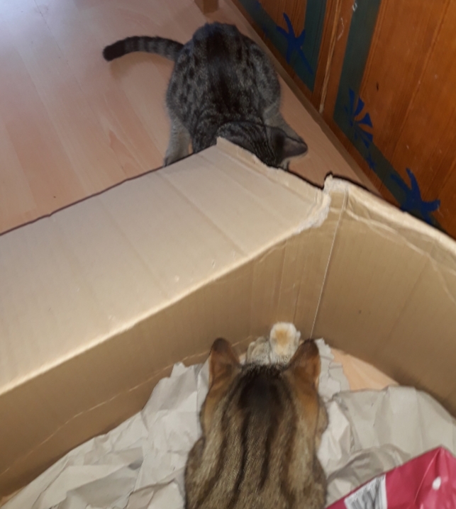 20201004_162822.jpg