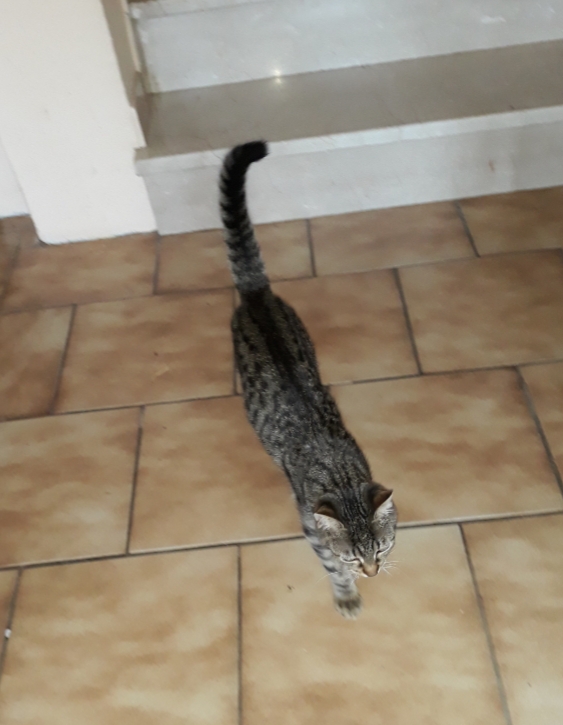 20201017_202513.jpg