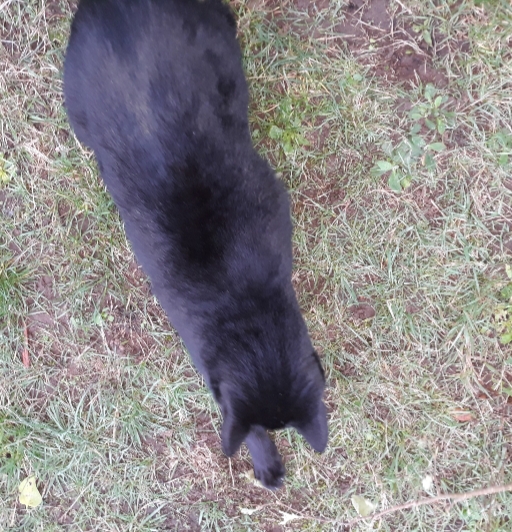 20201025_074601.jpg