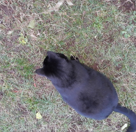 20201025_074631.jpg