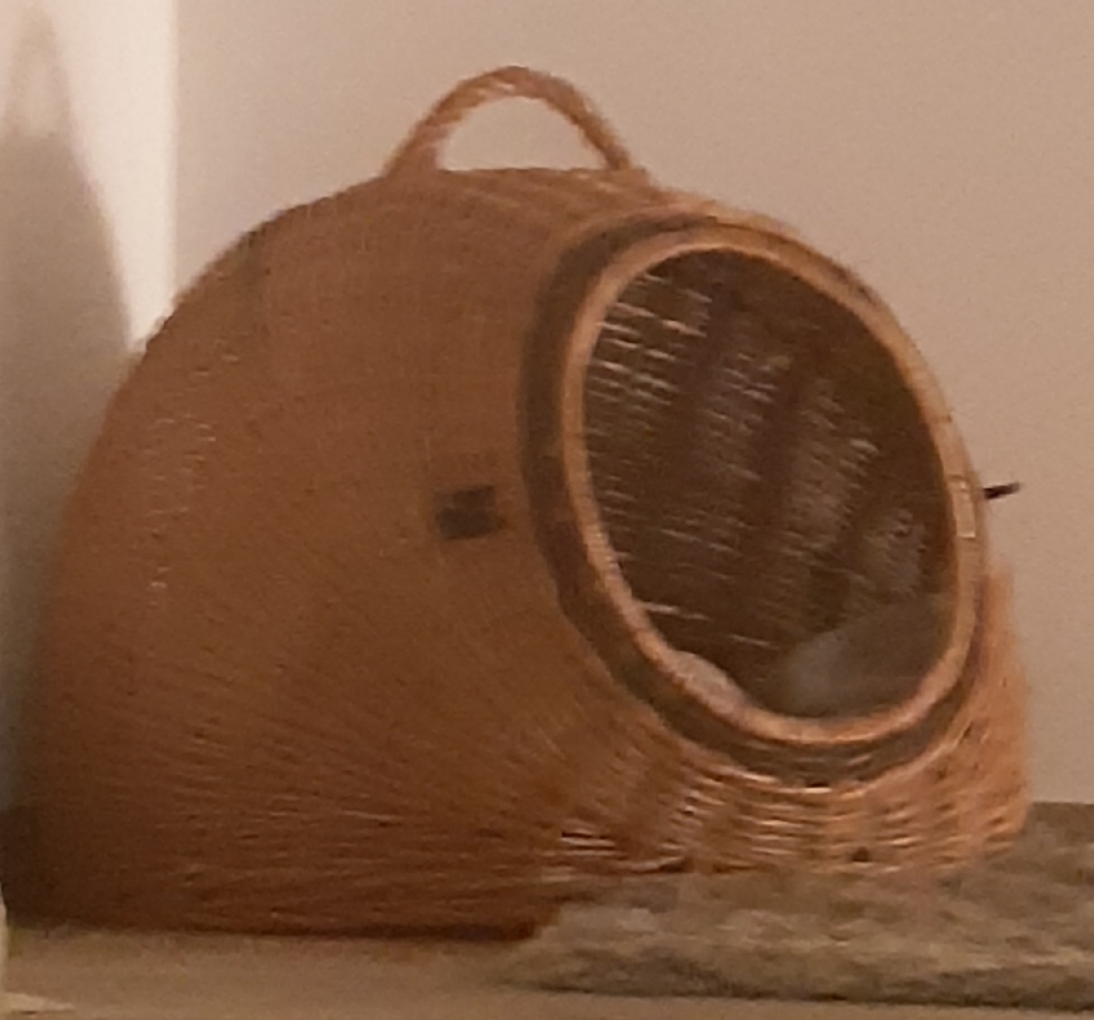 20201103_204032.jpg