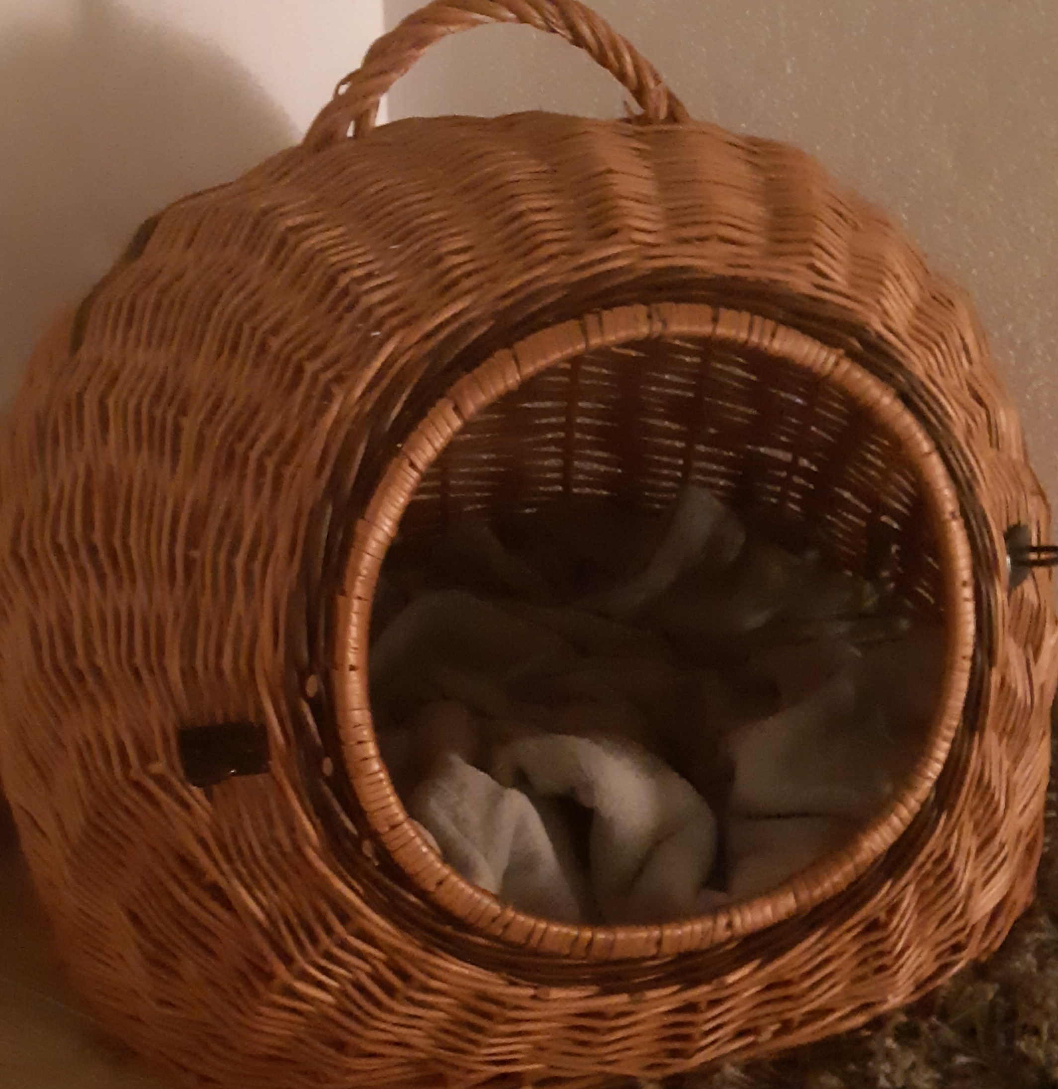 20201103_204155.jpg