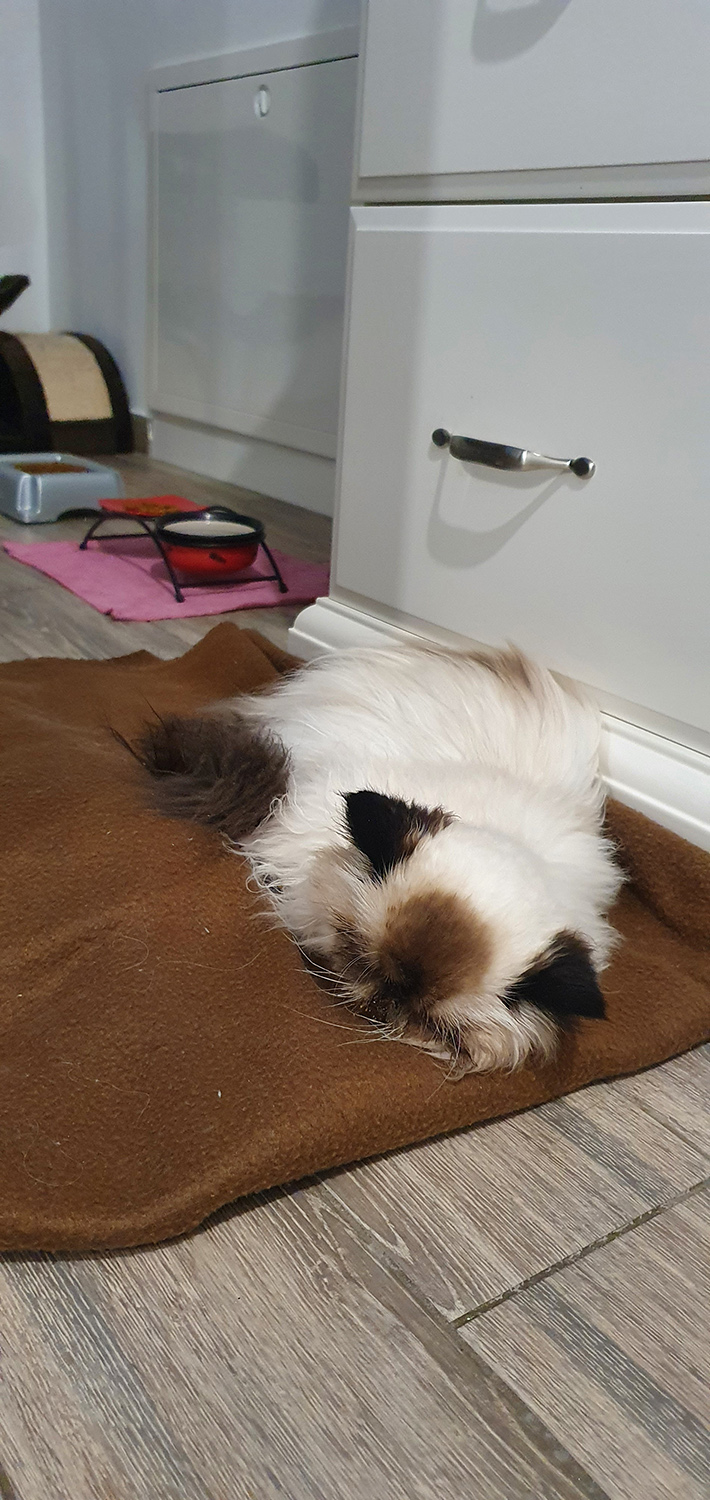20201110_080146.jpg