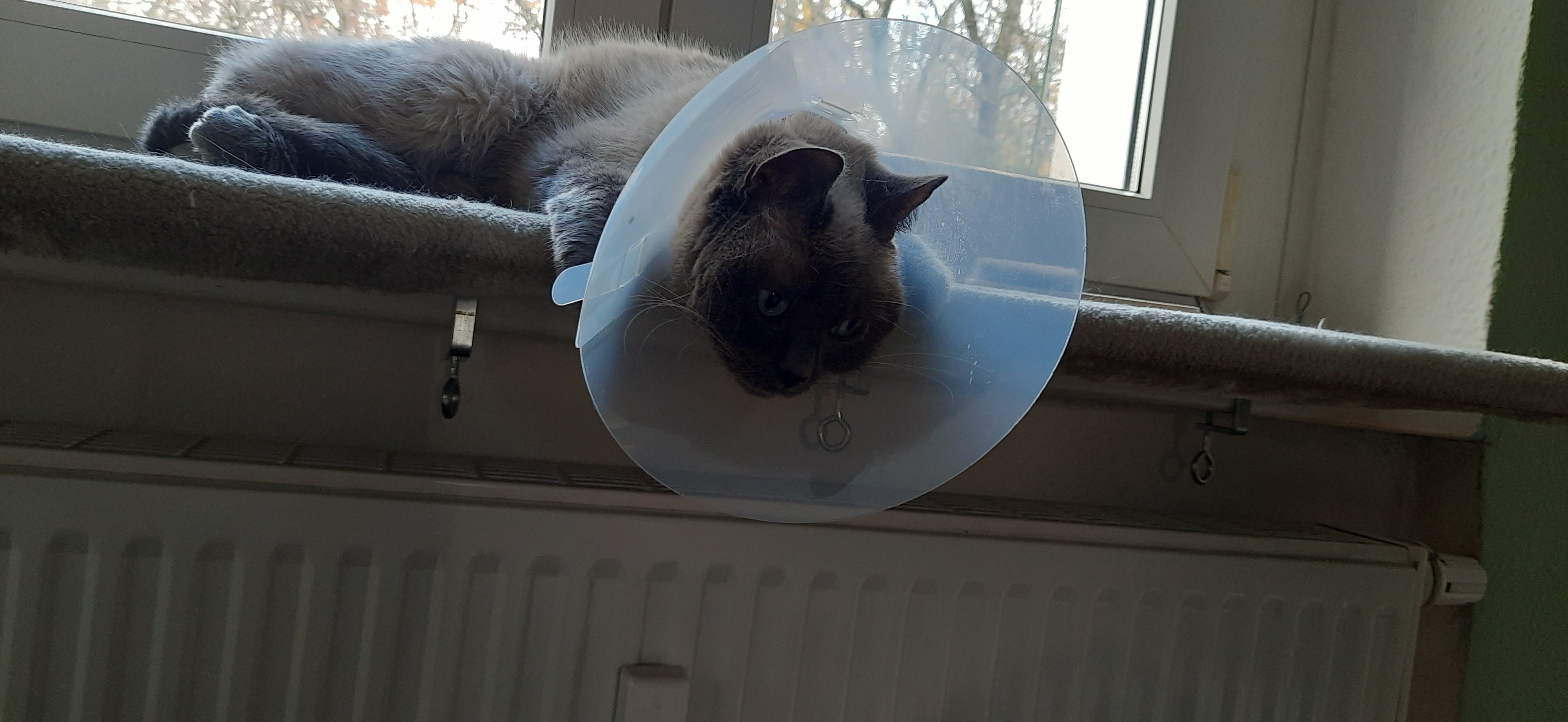 20201120_134204.jpg