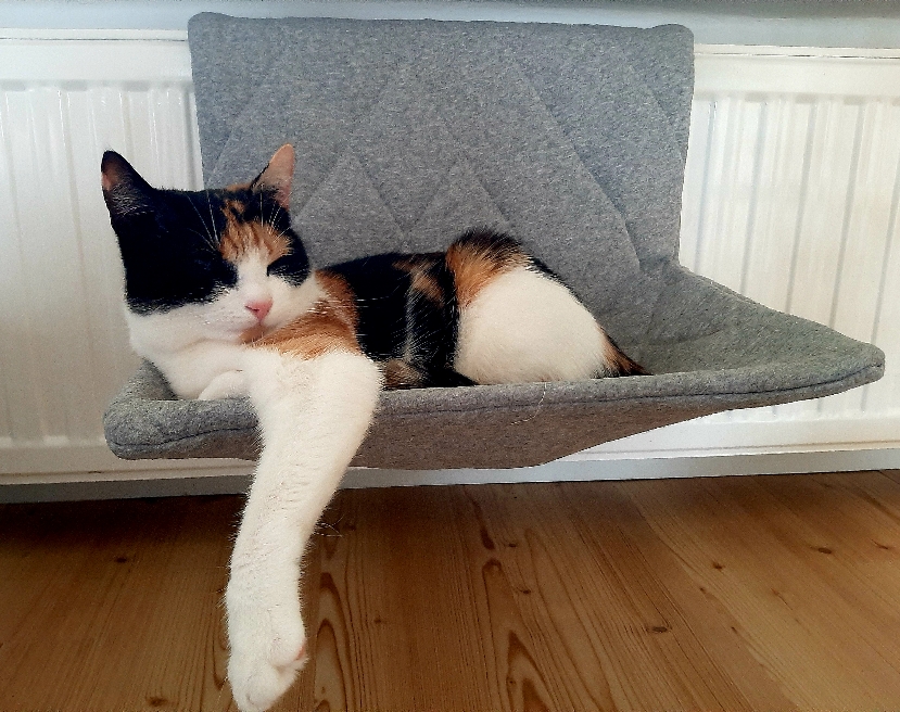 20201211_094226.jpg