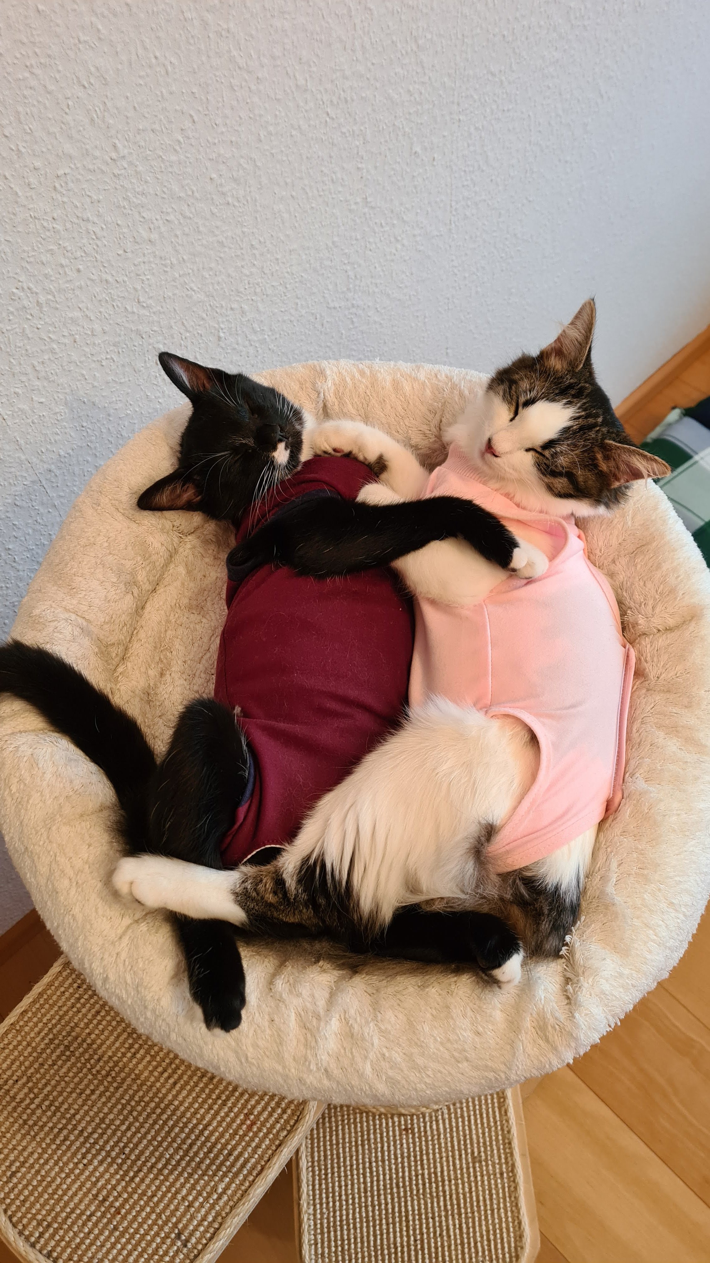 20201211_121719.jpg
