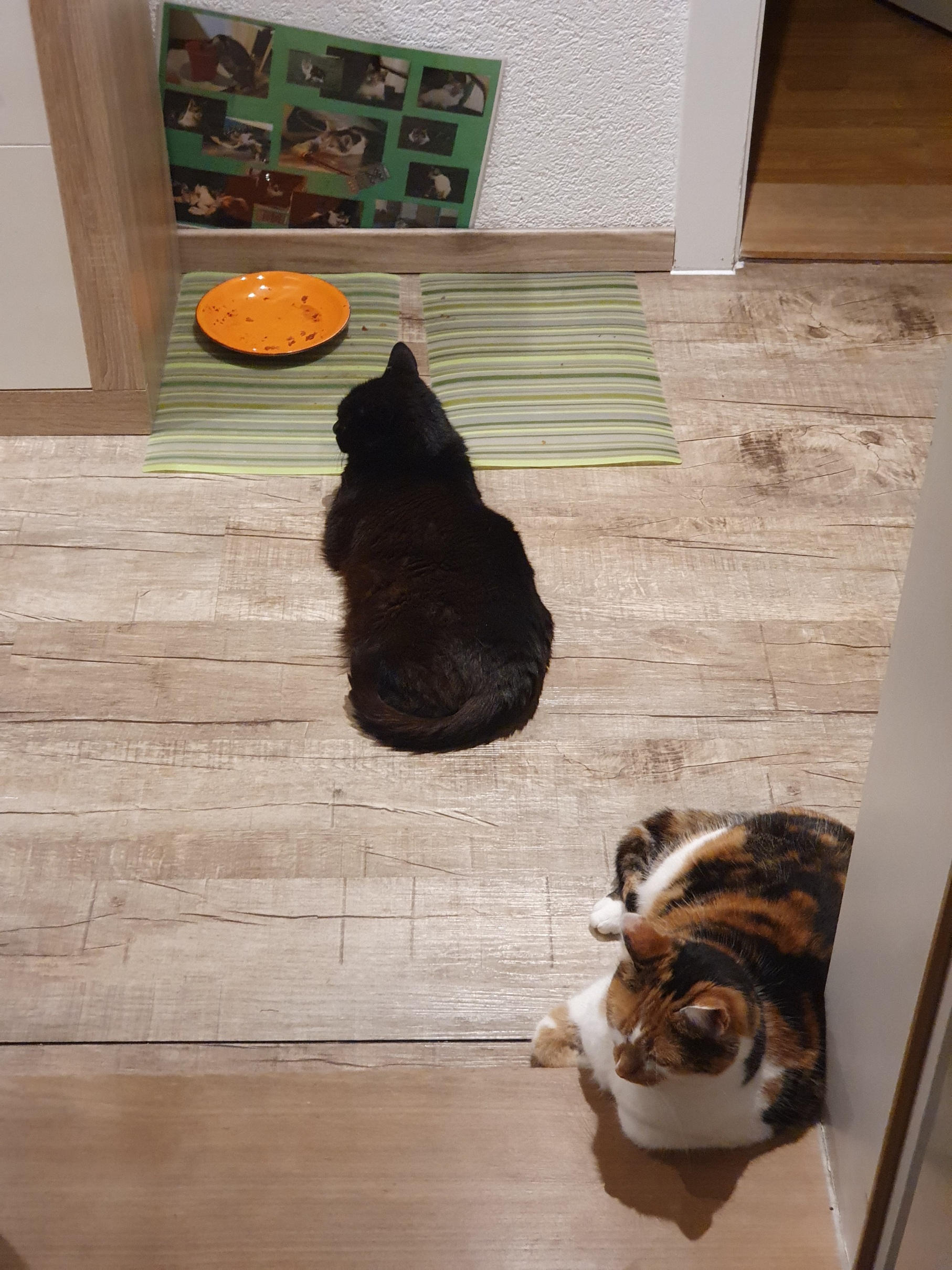 20201221_143431.jpg