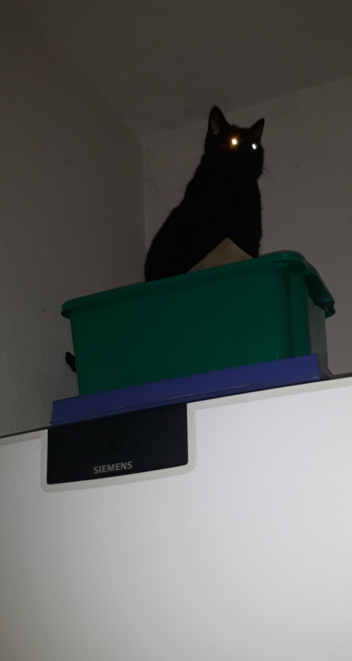 20201222_093208.jpg