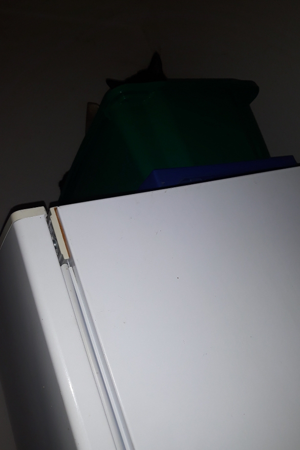 20201227_140918.jpg