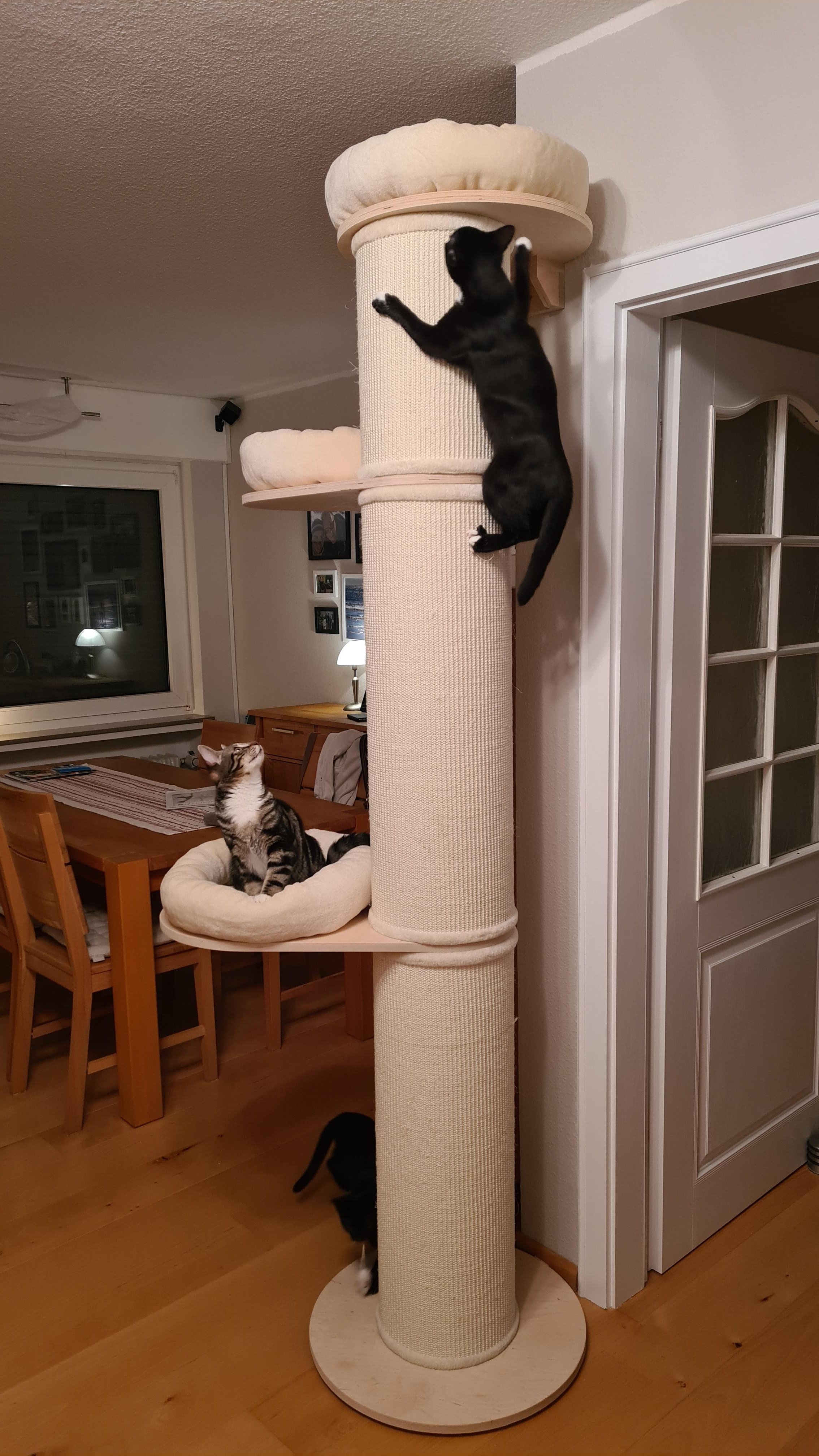 20201228_220559.jpg