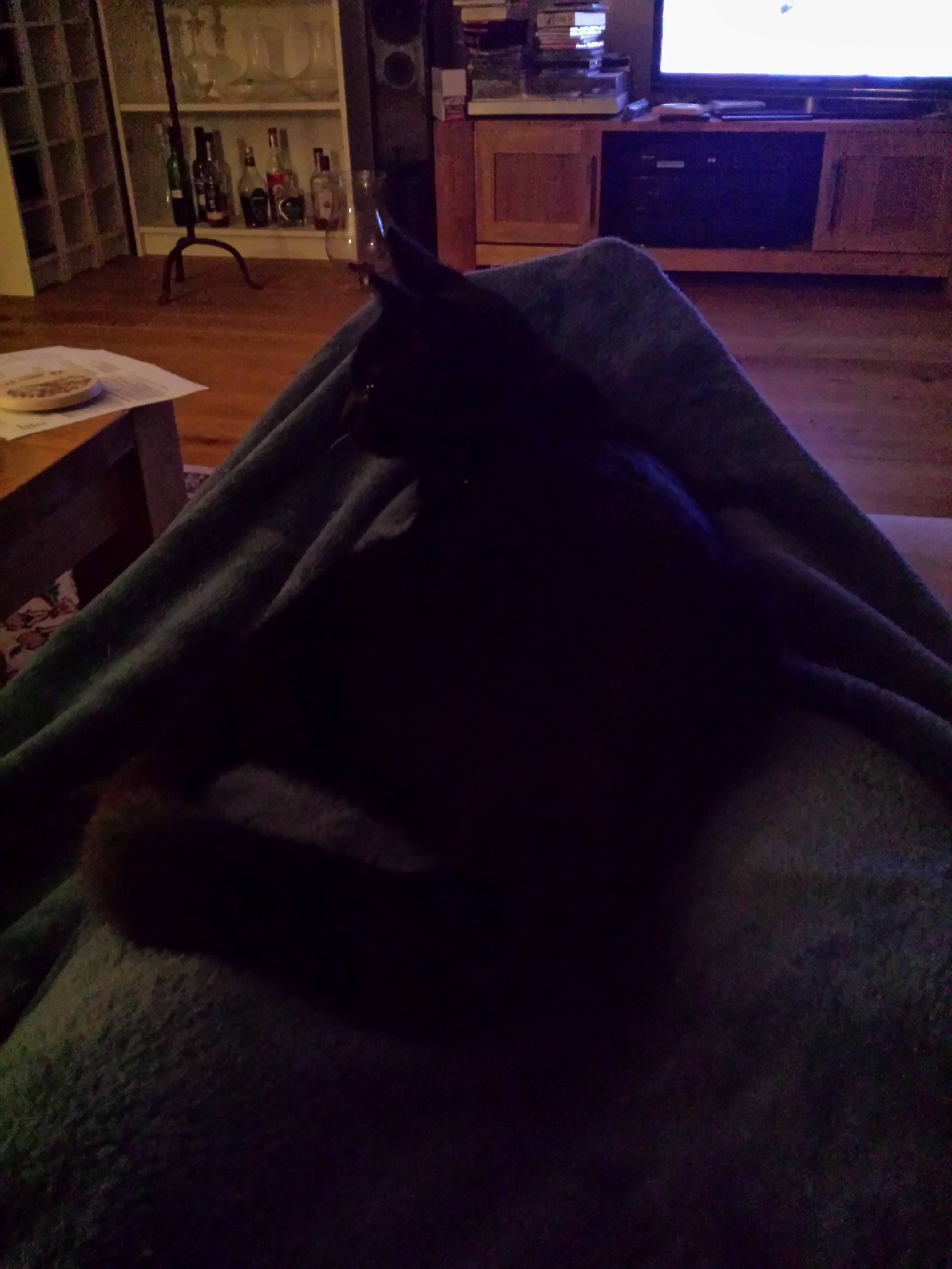 20210102_194155.jpg