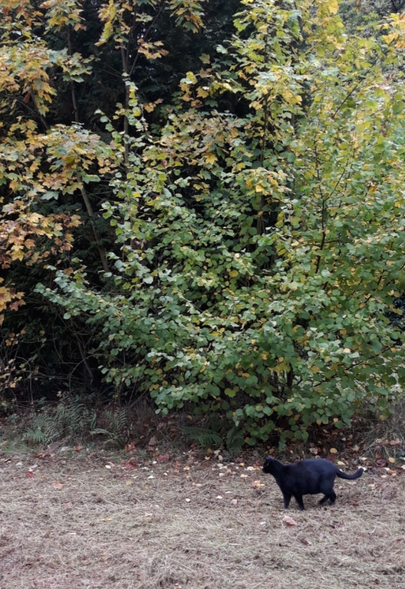 20210124_175817.jpg
