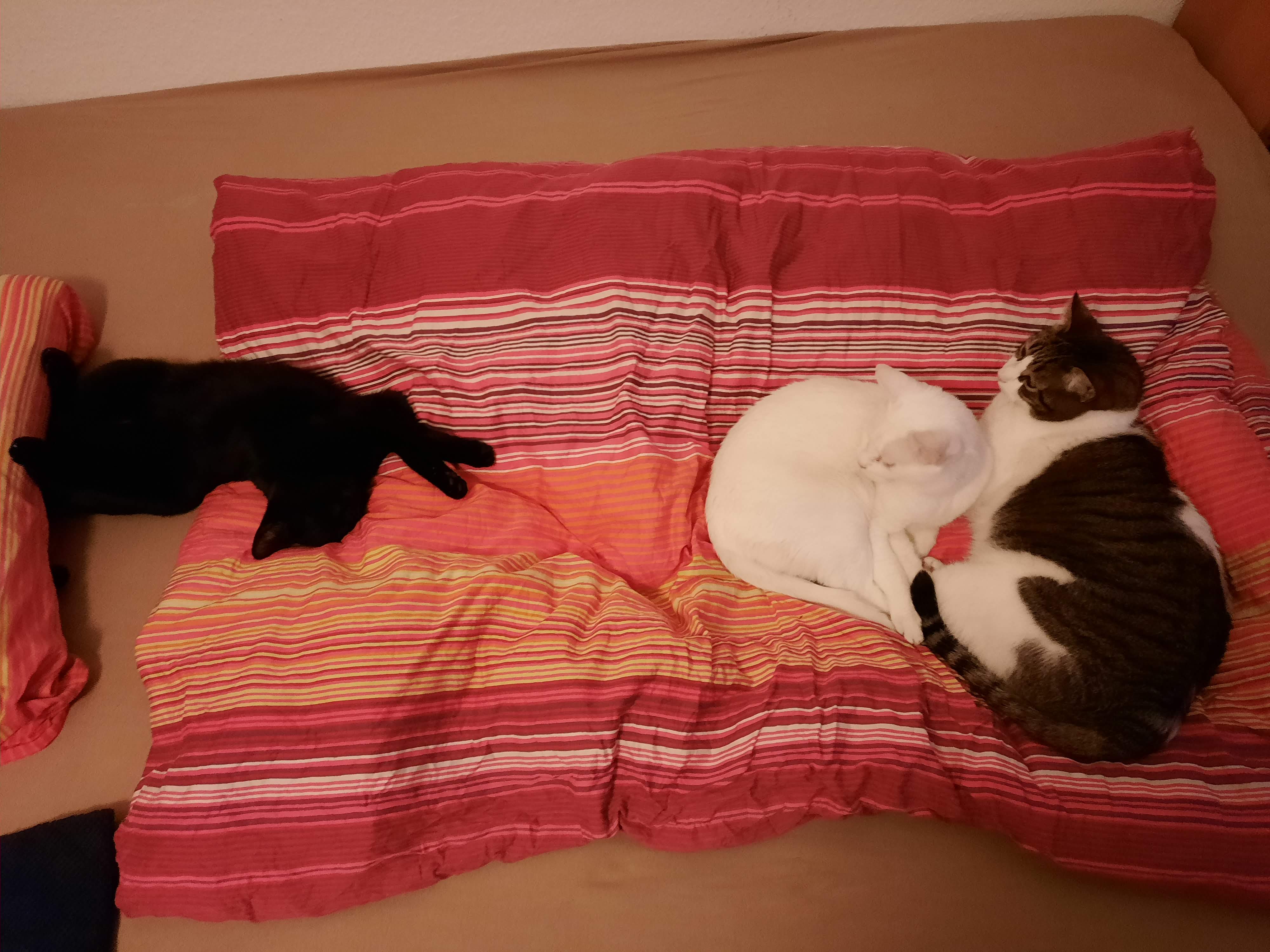 20210126_173423.jpg
