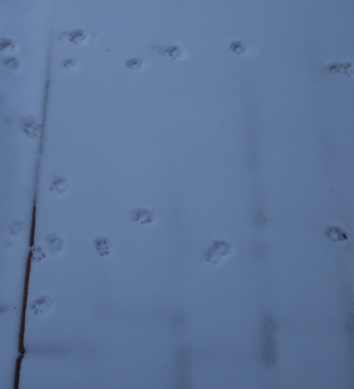 20210211_165014.jpg