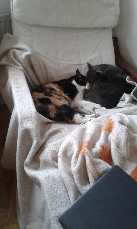 20210226_150207.jpg