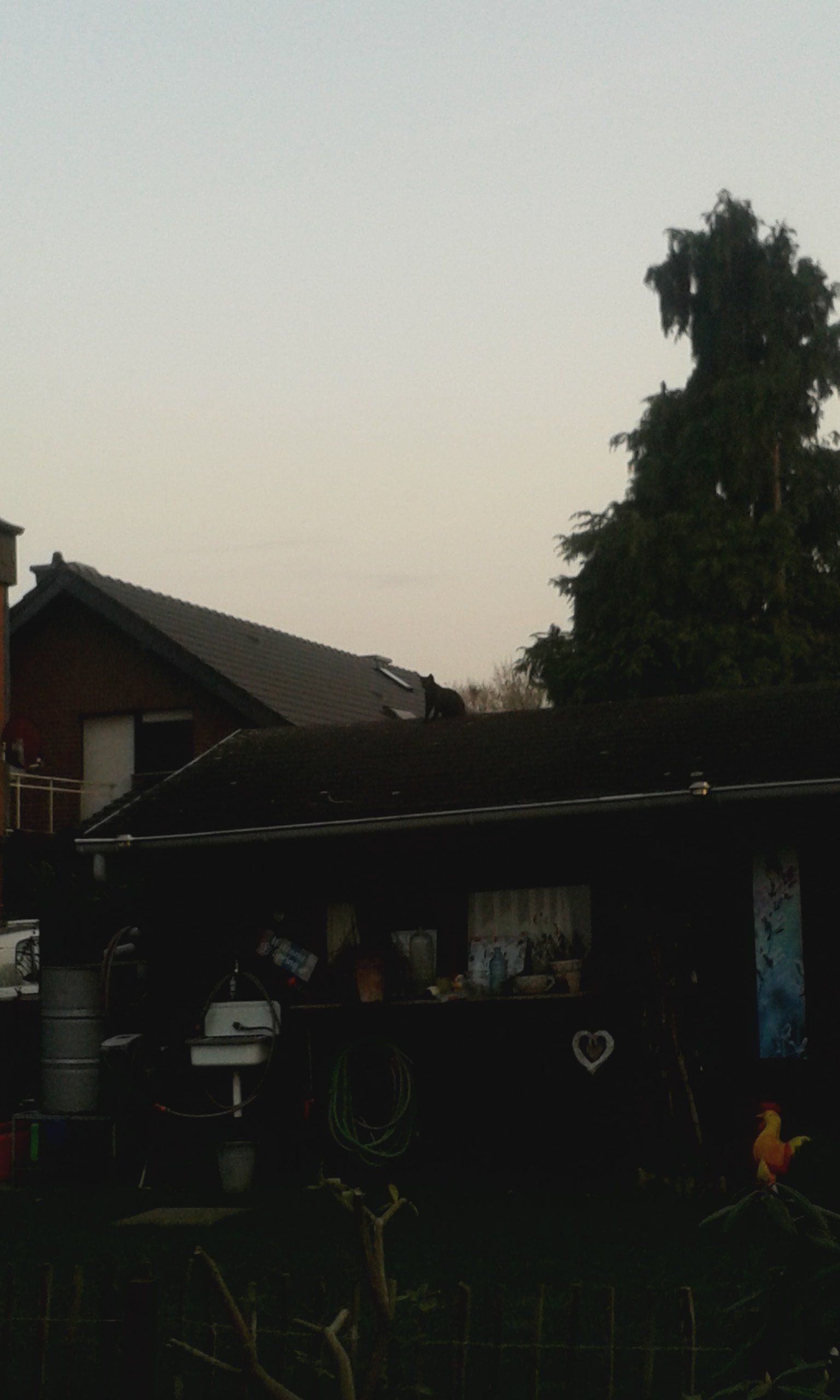 20210303_180205.jpg