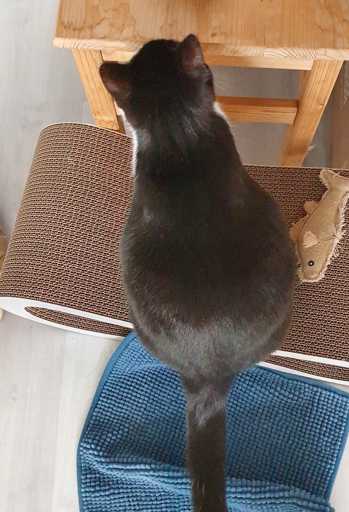 20210322_090107.jpg