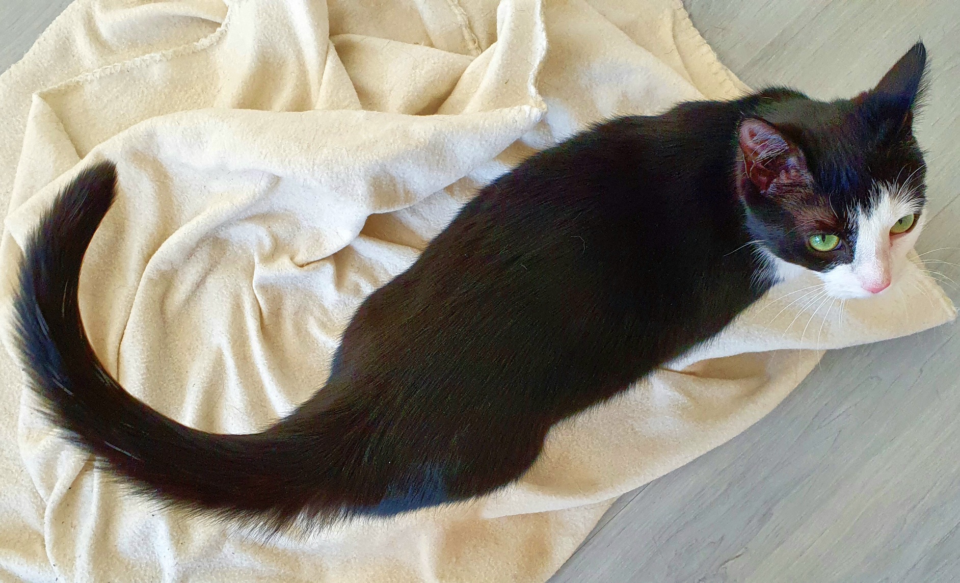 20210420_082823.jpg