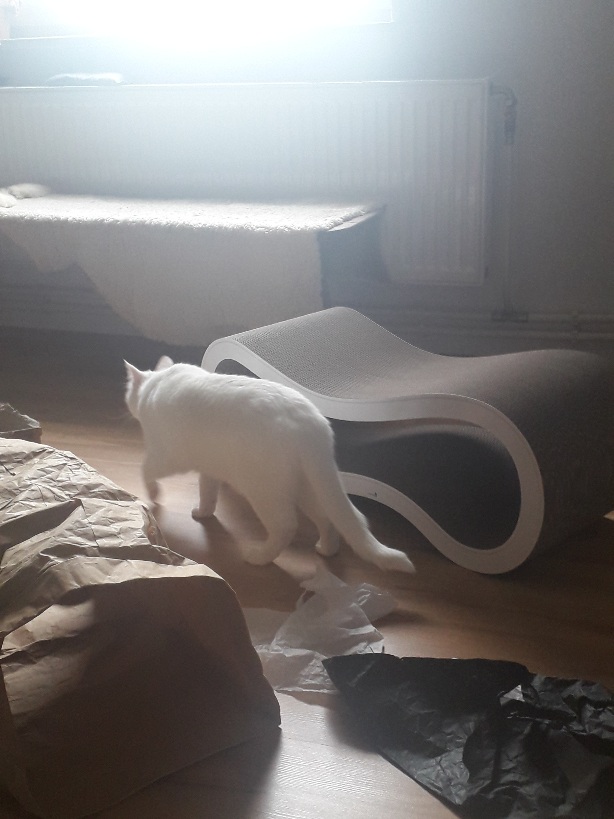 20210515_104033.jpg