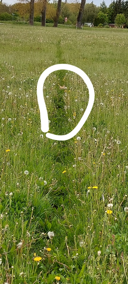 20210524_192209.jpg