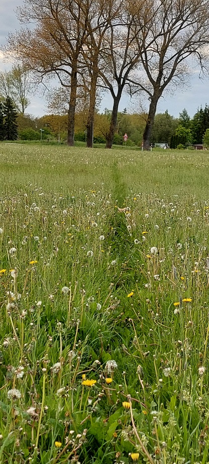 20210524_192214.jpg